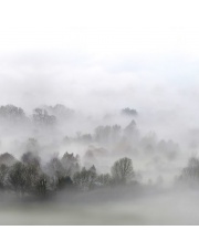 Fototapeta REBEL WALLS | Morning Fog